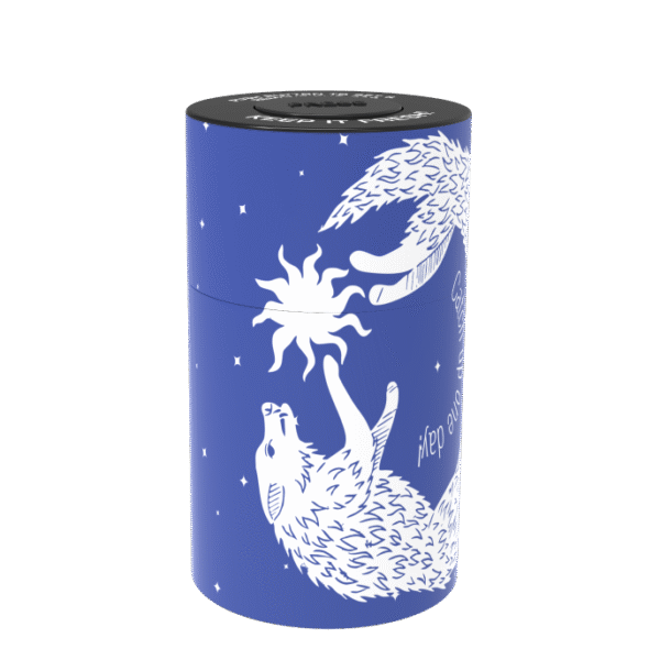 Airtight Smell-Proof Storage Jar Blue