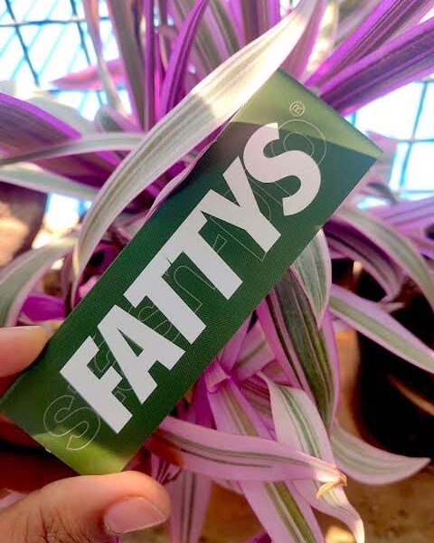 Stash-Pro Fattys Rolling Paper - King Size